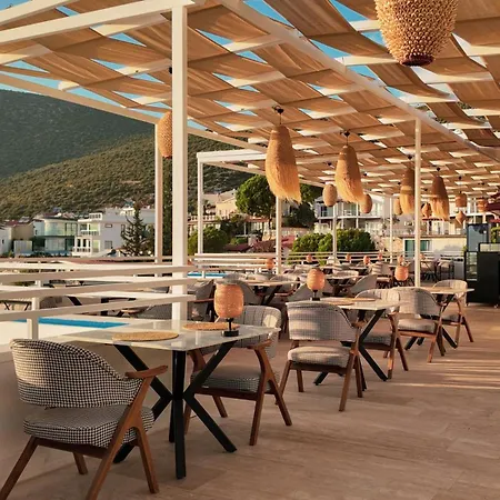 Hotel Soothe 4*