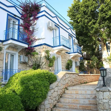 فندق Soothe 4*